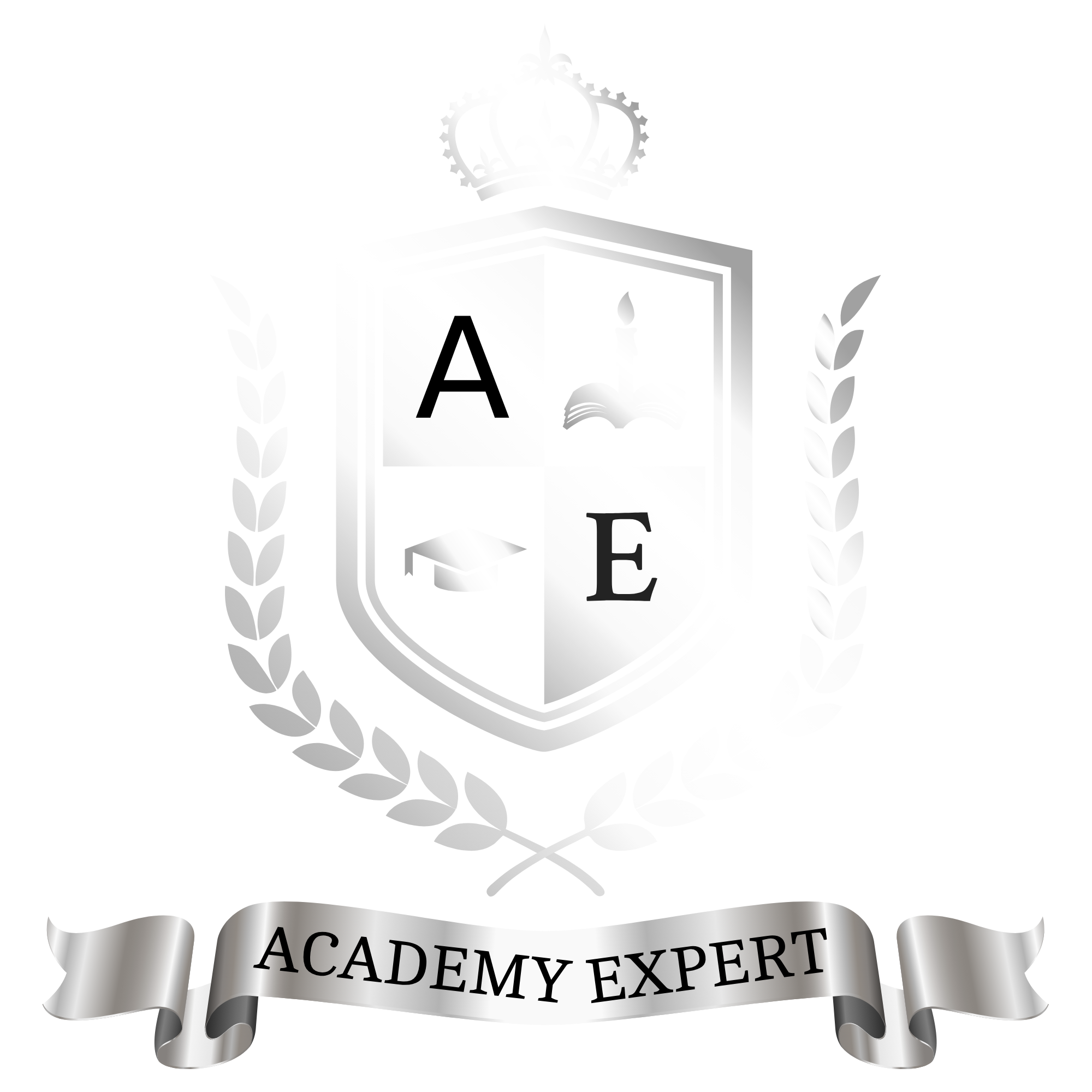AcademyExpert Logo